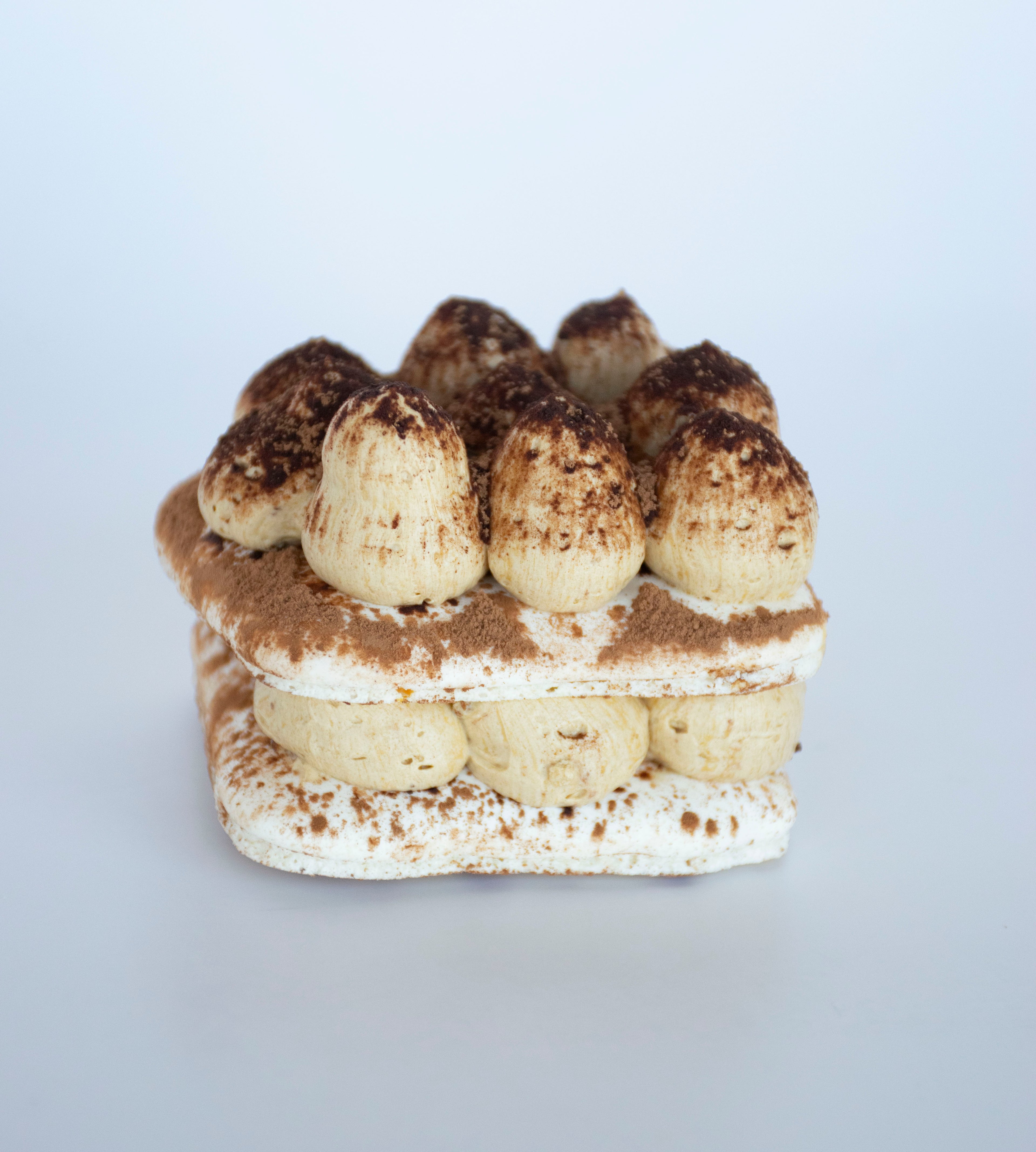 Tiramisu Macaron