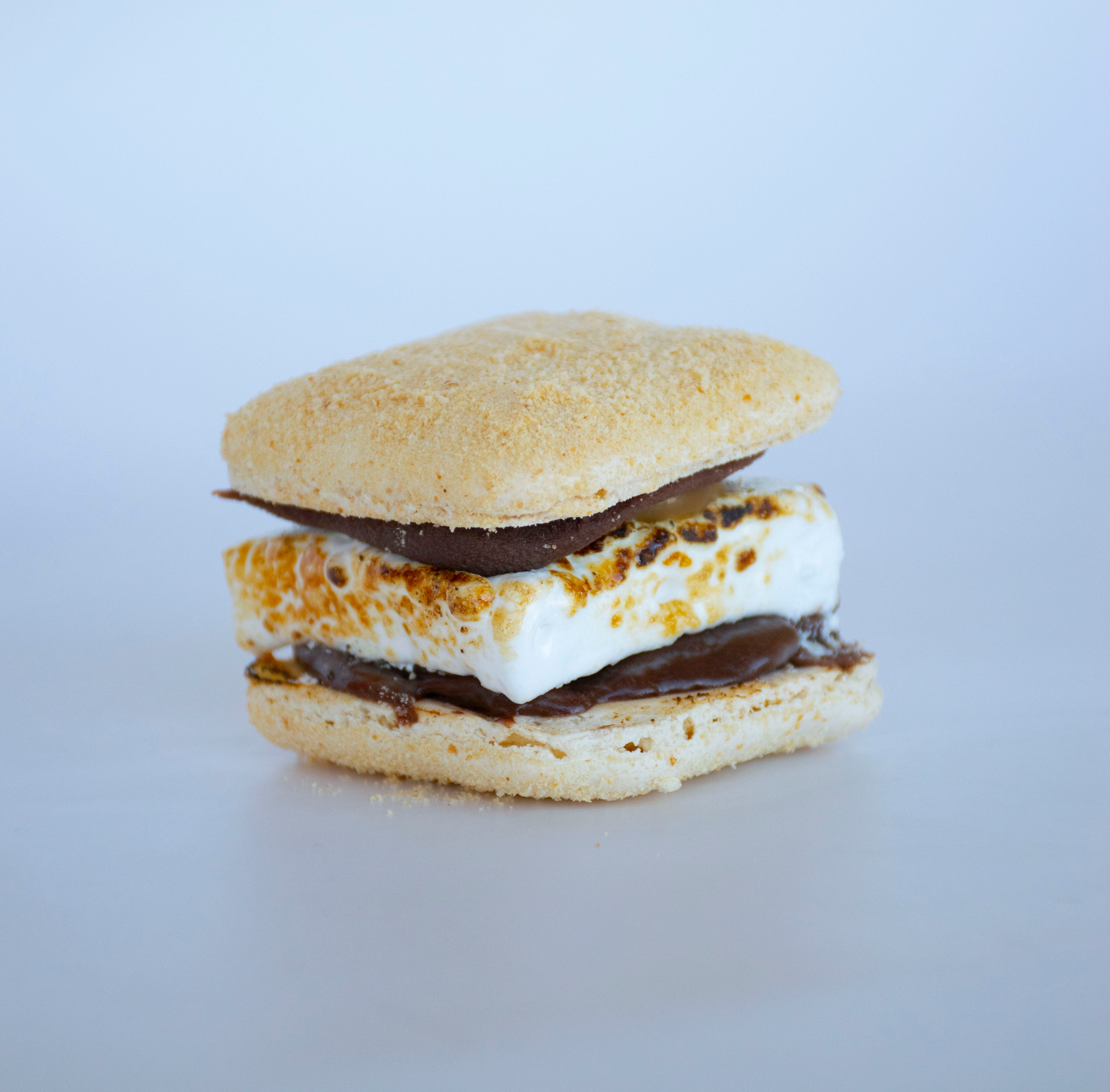 Chocolate S'mores Macaron