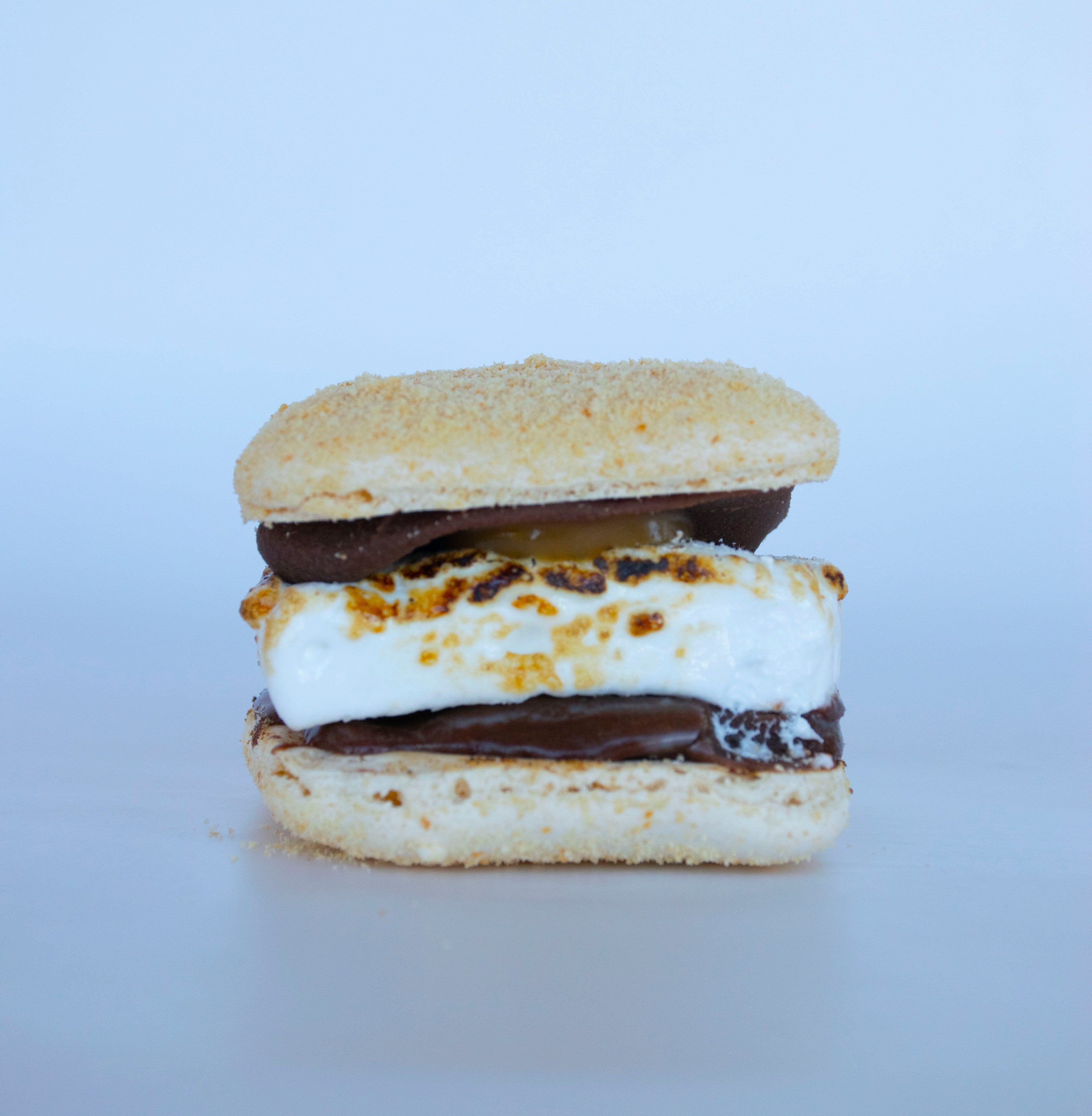 Chocolate S'mores Macaron