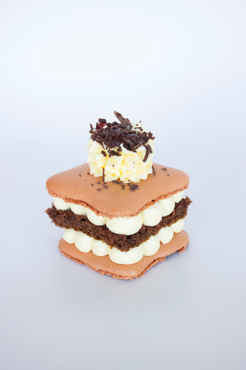 Forest Cake Macaron