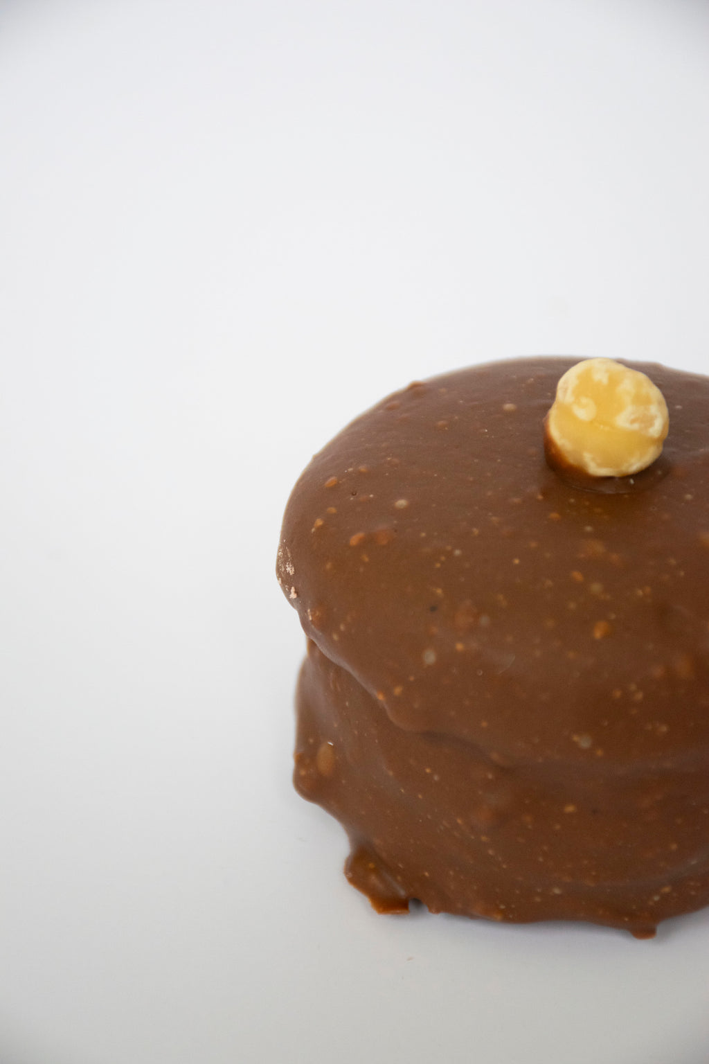 Chocolate Hazelnut Macaron