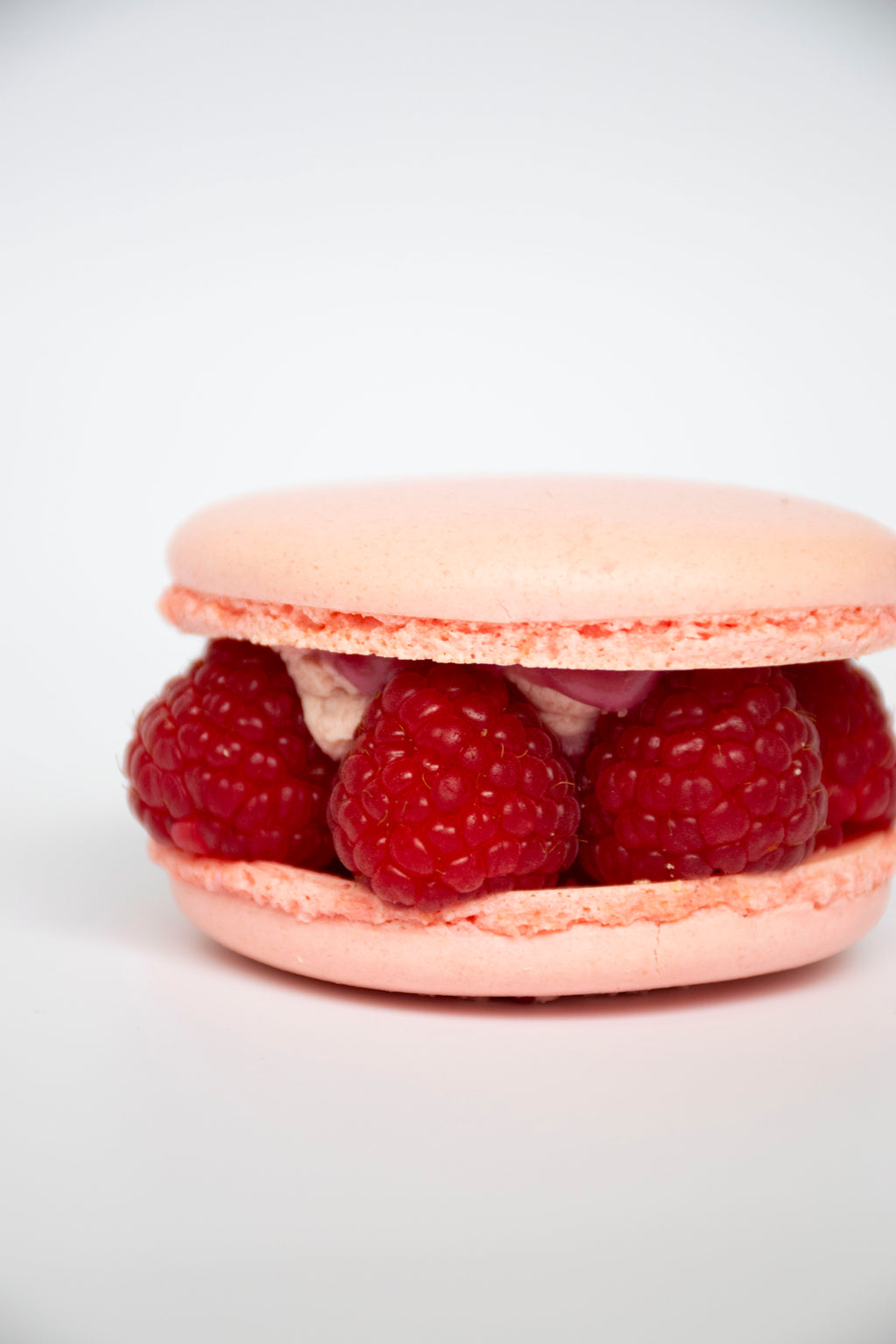 Raspberry Macaron