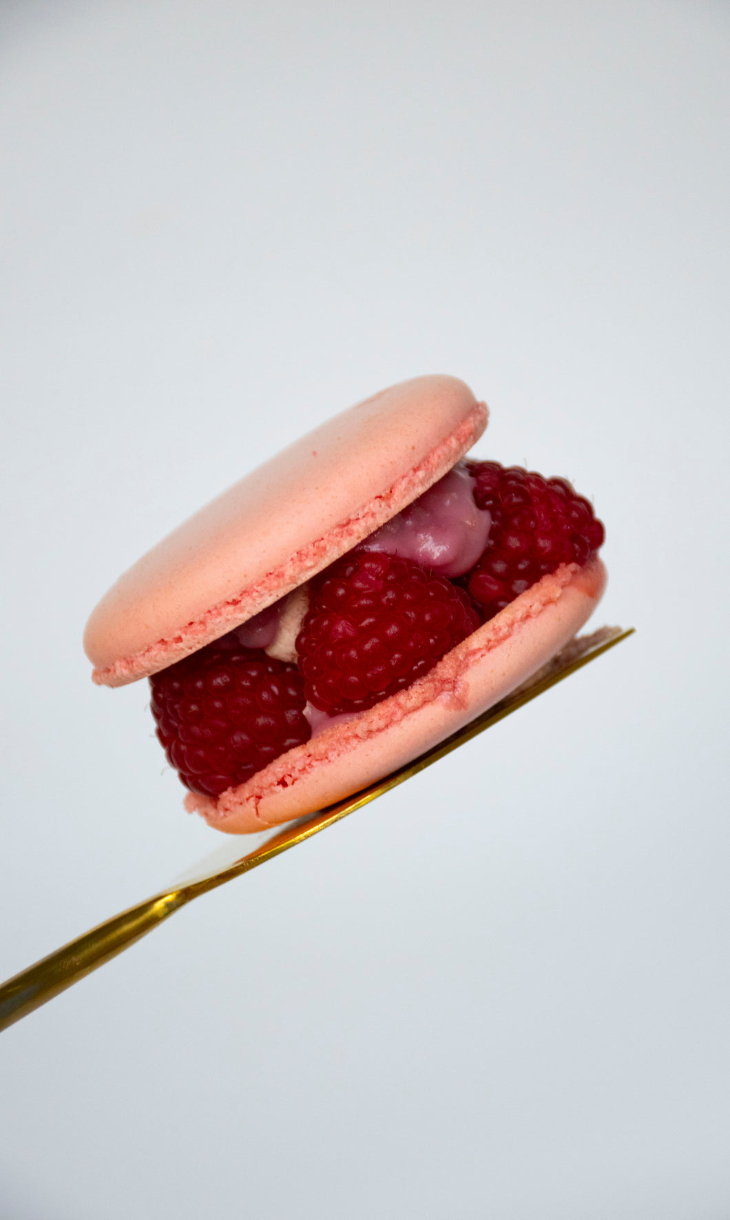 Raspberry Macaron