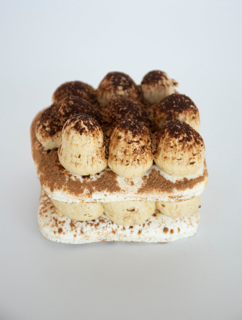 Tiramisu Macaron
