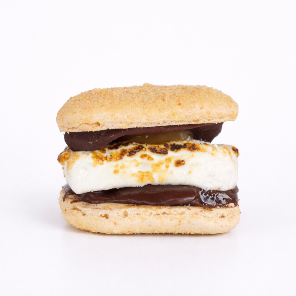 Chocolate S'mores Macaron